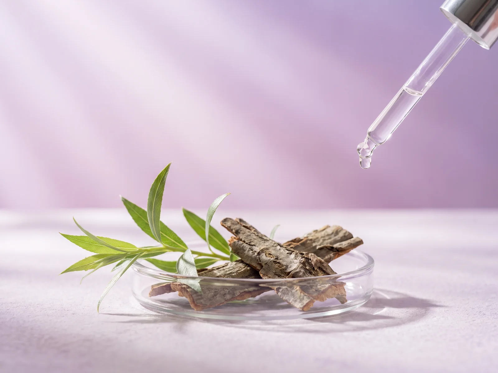 Salicylic Acid ingredient